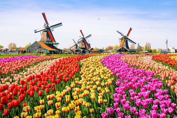 Dutch landmark