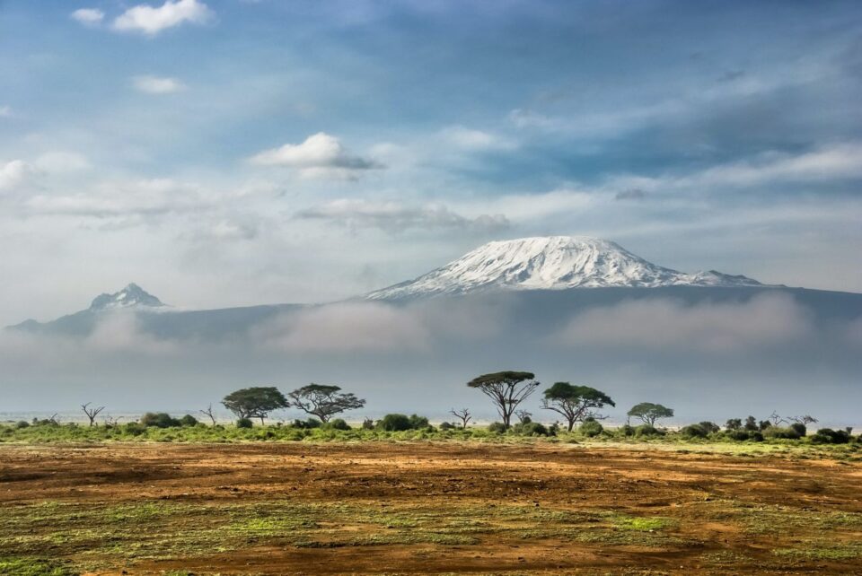 'African languages list' by Sergey Pesterev©