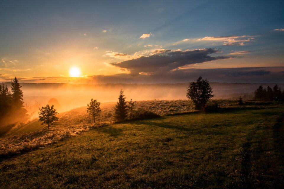 "Good morning in Spanish" by Dawid Zawiła©