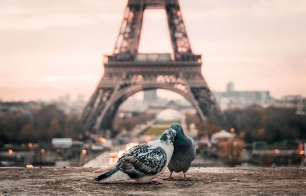 Love You in French