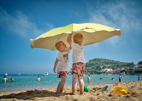 Spanish and Portuguese: A Comparative Analysis