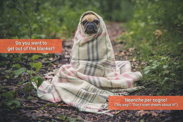 italian idiomatic expressions
