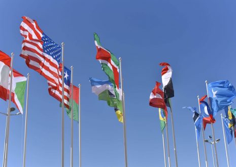 5 Best Languages to Learn for Business