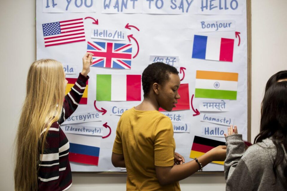 Learn Multiple Languages at Once
