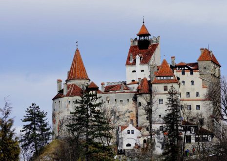 Learn Romanian With the Award-Winning App Made by Romanians