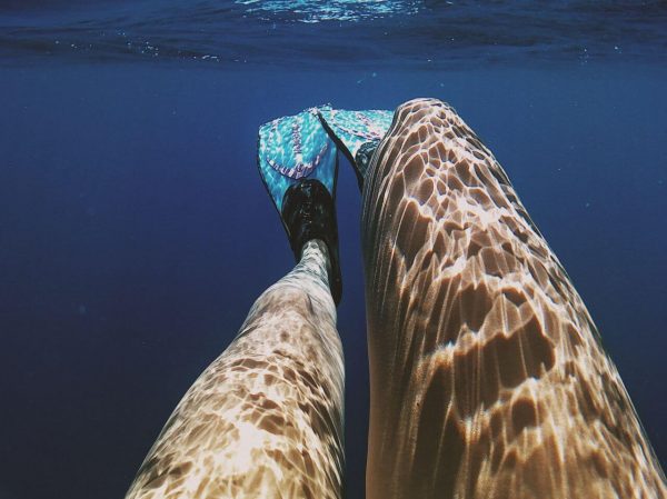legs
