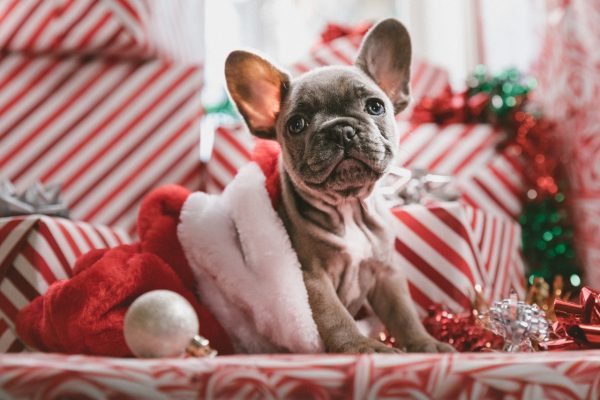 merry christmas in french