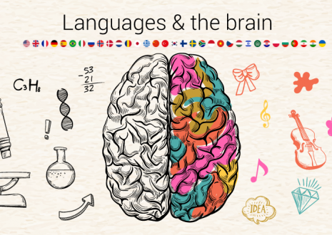 The Surprising Brain Benefits of Learning a Foreign Language