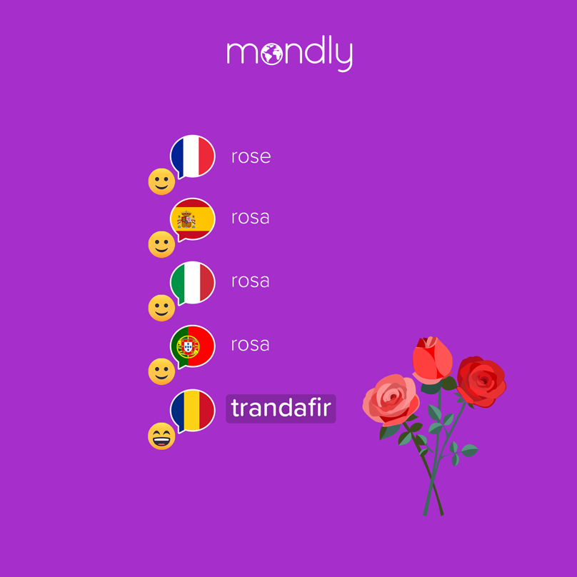 romance language