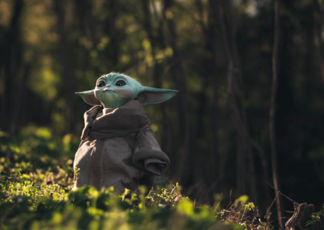 Languages Spoken in the Star Wars Universe
