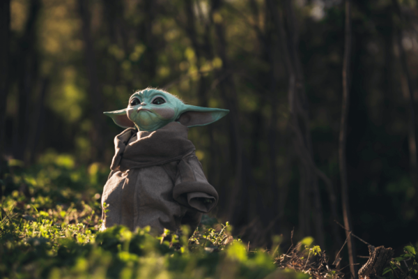 Languages Spoken in the Star Wars Universe
